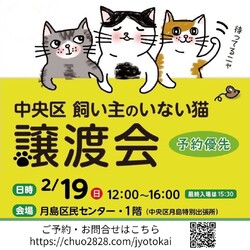 (予約制)東京都中央区飼い主のいない猫譲渡会