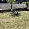 家族募集中