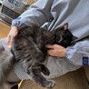ふわふわ黒猫長毛の男の子 サムネイル5