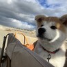 の写真