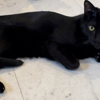 仮名　じゅり♀