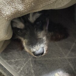 「最強寒波…」サムネイル3