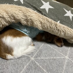 「最強寒波…」サムネイル2