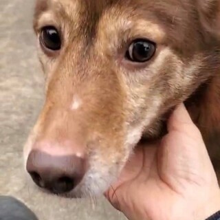 ありがとうございました！