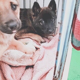 ありがとうございました！