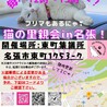 エメラルドグリーンの瞳が美しいネル君 サムネイル7