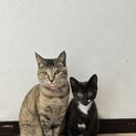 ４ヶ月の熊みたいな男の子❤️