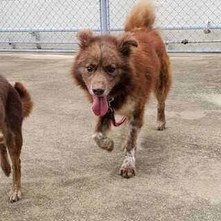 ありがとうございました！