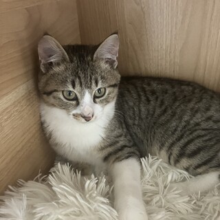 いつもそばに来てくれるくーちゃん