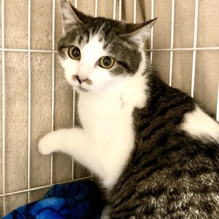ツンデレ系女子。上からあのちゃん5ヶ月