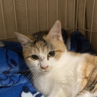 みんな注目！あざと可愛いののちゃん