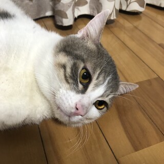 兄弟揃って甘えん坊っ！