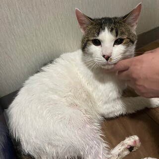 兄弟揃って甘えん坊！