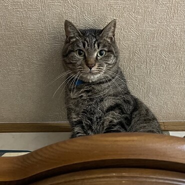 良かったね〜命くん♡大兄の天だよ(^_^)よろしくね(=^ェ^=)