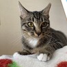 白ソックスのネイルちゃん♡ サムネイル2
