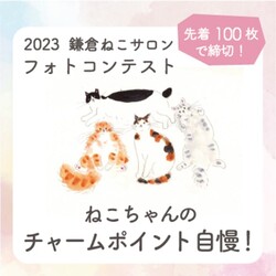 鎌倉ねこサロン「猫ちゃんのチャームポイント自慢」 サムネイル2