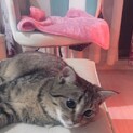 独りぼっちで寒い中お外に居た、優しいモモタ君