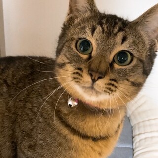 姉妹のお家に迎えていただけました♡芙珠ちゃん