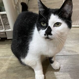 【1/29東日本橋】男は目で語るのさ♡ふくくん