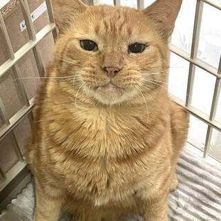 お外で10年頑張ってきたよ♥️まるくん