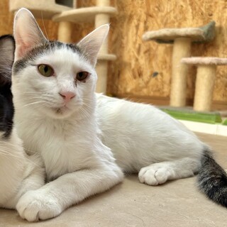 一緒にたくさん遊んでくれます★チーズくん