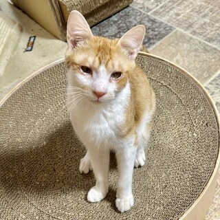 穏やかでマイペース★ミノルくん