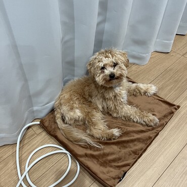 の写真