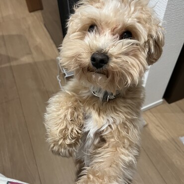 の写真
