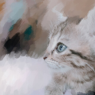 可愛い甘えん坊な子猫3匹!!