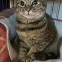 姉妹で家族に迎えていただけました♡こまち