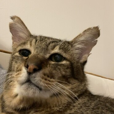の写真