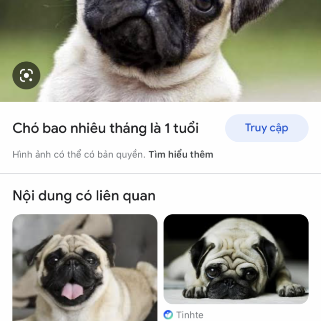 VU HUY LUYENのカバー写真