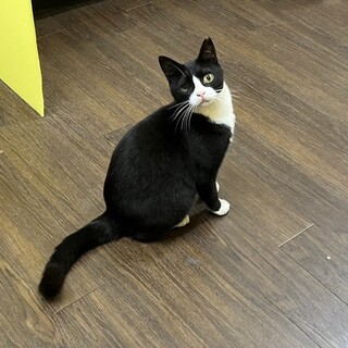 おもちゃ大好きるんるん気分の蘭です❣️