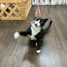 おもちゃ大好きるんるん気分の蘭です❣️ サムネイル3