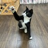 おもちゃ大好きるんるん気分の蘭です❣️ サムネイル6