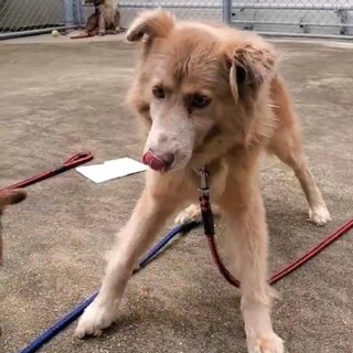 ありがとうございました！