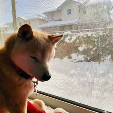 命ちゃん（●＾o＾●）よかったね！よろしくね＾＾