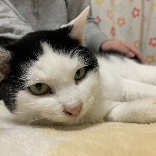 少し怖がり、実は凄く甘えたさん