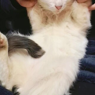 兄妹の中でも1番穏やかな　ちゅーくん♡