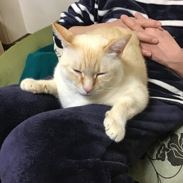 えさファミリーの皆様、ちゃむ・天・命ちゃんそしてギンギンにこの安らぎをありがとう