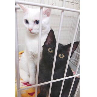 仲良し親子一緒にお願いします