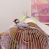 かなかなかーな