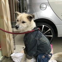 ラッキー
