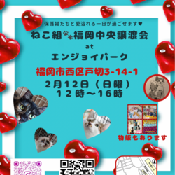 ねこ組福岡中央譲渡会atエンジョイパーク サムネイル1