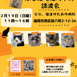 ねこ組福岡中央譲渡会atなな。猫達のための病院 サムネイル1