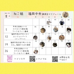 ねこ組福岡中央譲渡会atなな。猫達のための病院 サムネイル2