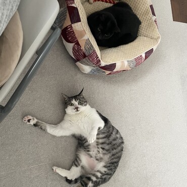 の写真