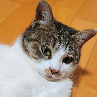 全然帰らなかったまるさん