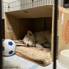 お休み中