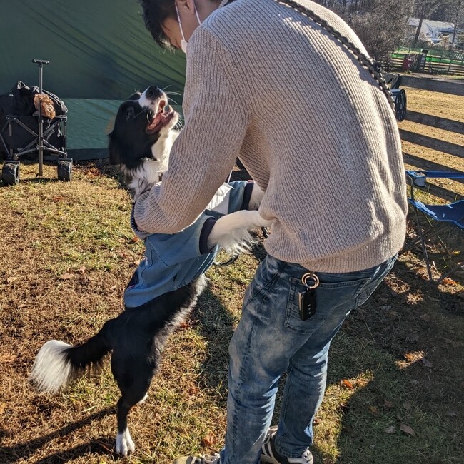 ぽん＆るかのカバー写真